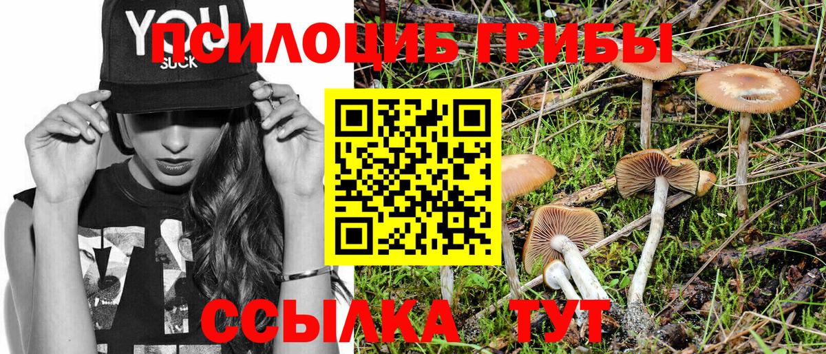 Псилоцибиновые грибы ЛСД  Вход с VPN  купить закладку  Котовск 